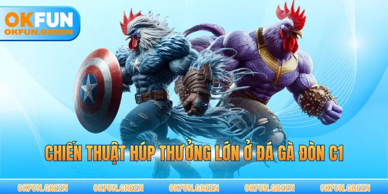 Chiến thuật húp thưởng lớn ở đá gà đòn C1